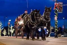 Christmas Wagon Ride
